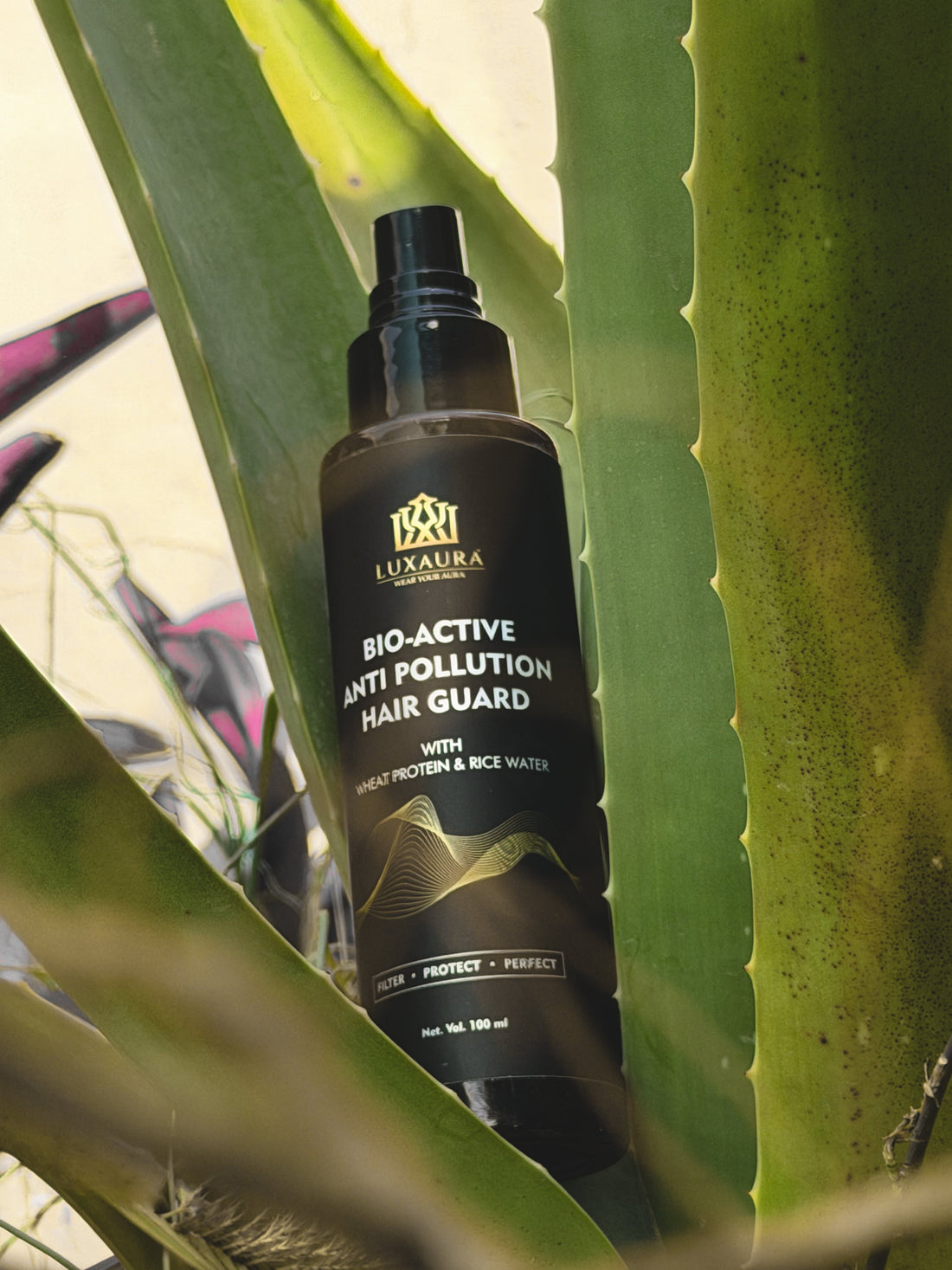 Crafted with care, for everyone.